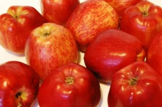 Nowe obowiązki: poznaj „normy handlowe” w sektorze owoców i warzyw